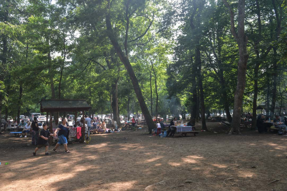 İstanbullular piknik yapmak için Belgrad Ormanına akın etti 9