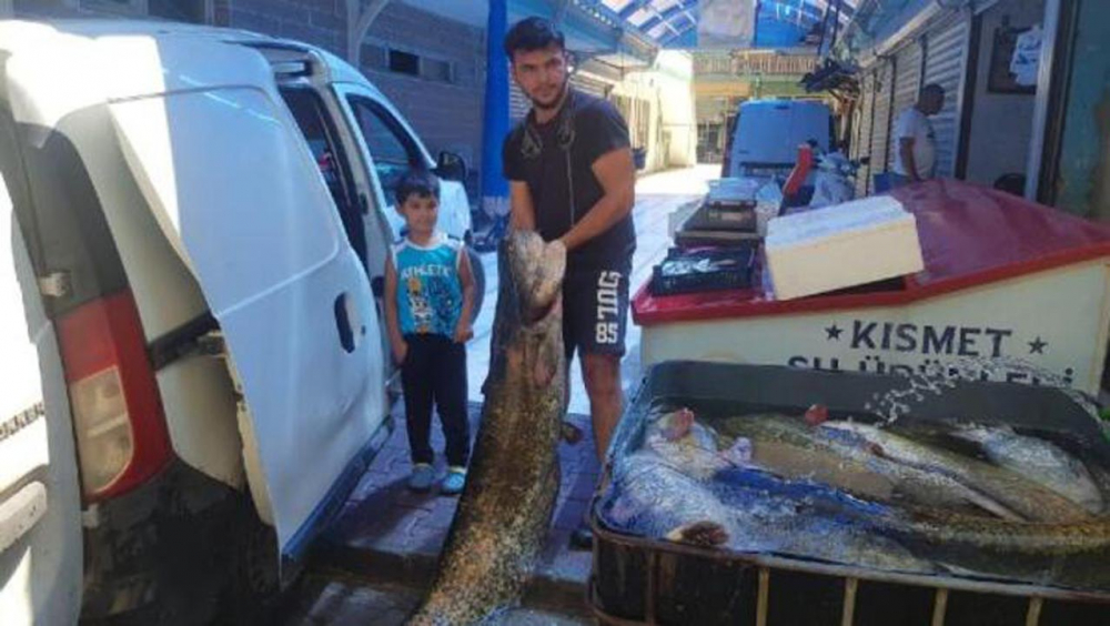 İznik Gölü'nde yakalandı! Tam 1,5 metre boyunda 8