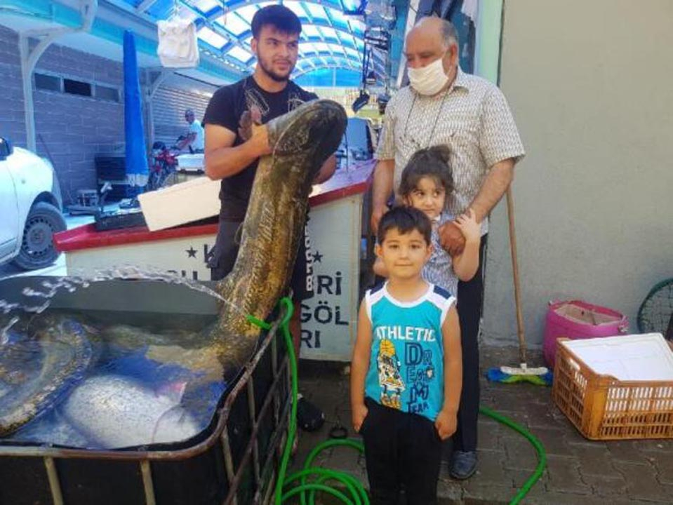 İznik Gölü'nde yakalandı! Tam 1,5 metre boyunda 9