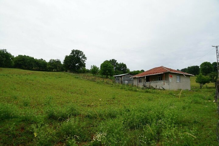 Kastamonu'da aç kalan ayı evi yağmaladı 10