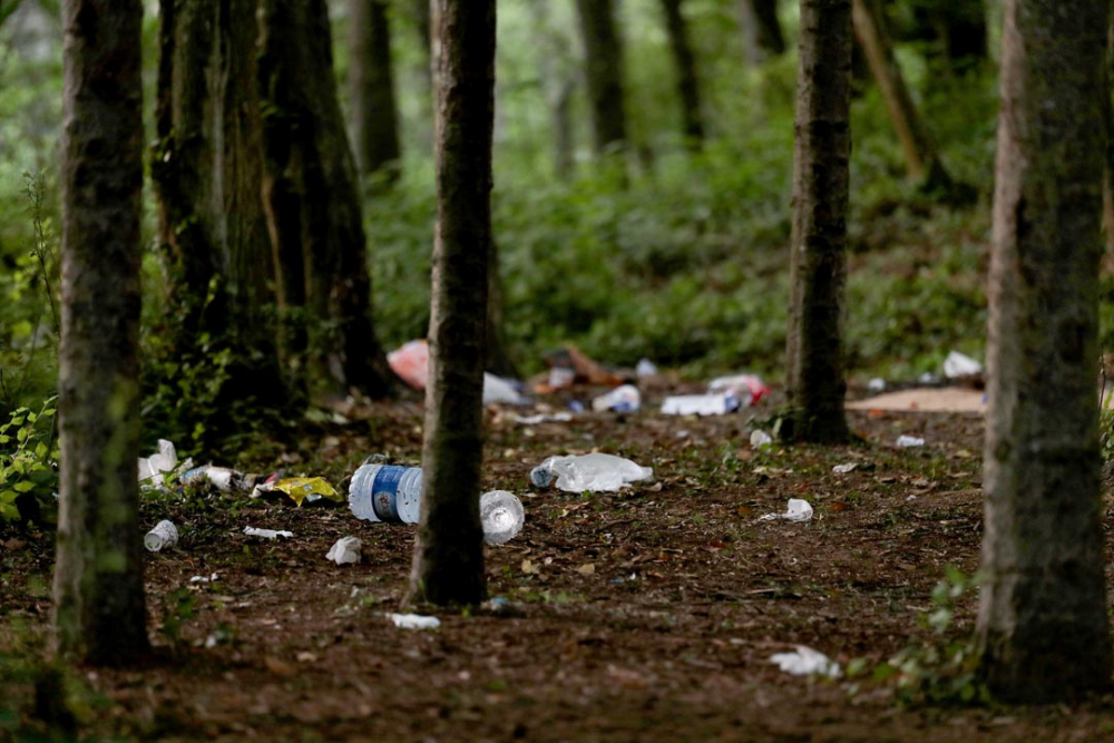 Belgrad Ormanı'nda utandıran görüntüler! Buldukları gibi bırakmadılar 11