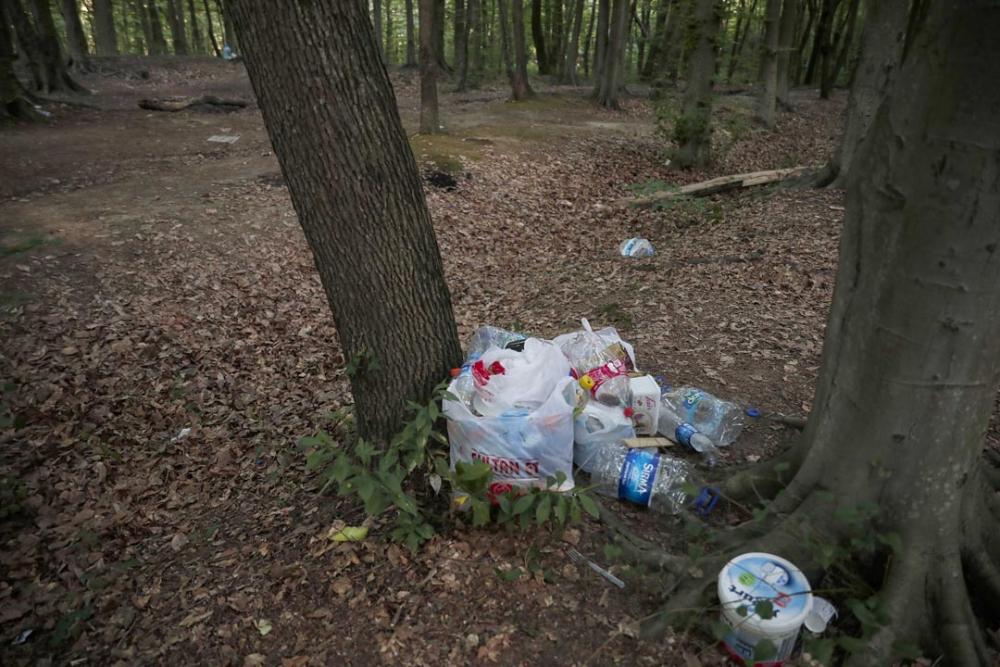 Belgrad Ormanı'nda utandıran görüntüler! Buldukları gibi bırakmadılar 9