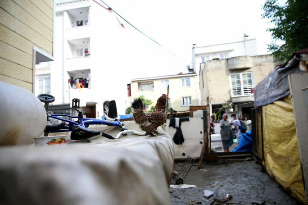 İstanbul Valiliği paylaştı! İşte ilçe ilçe selden zarar görme raporu... 7