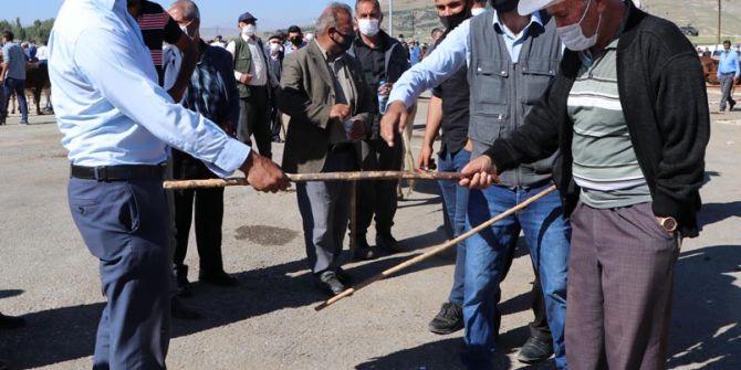 Van'da canlı hayvan pazarı yeniden açıldı! Pazarlık elle değil, sopalarla yapılıyor