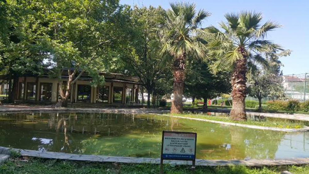 2 yaşındaki çocuğunun cansız bedeniyle sokakta oturdu! 5