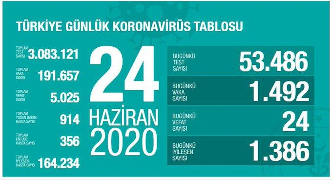 Koronavirüste dikkat çeken veriler! İşte Haziran ayının koronavirüs tablosu 25