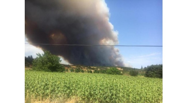 Çanakkale alev alev yanıyor! Vali Aktaş'tan yeni açıklama 10