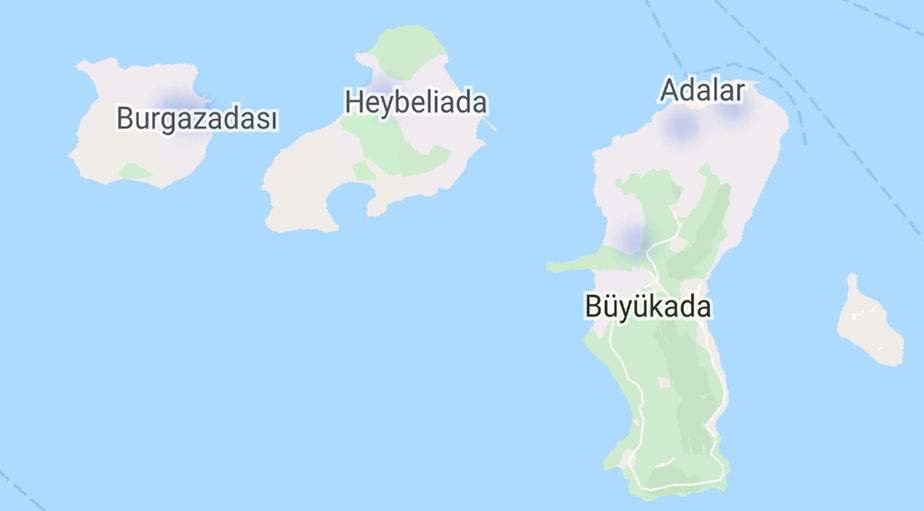 "Hayat Eve Sığar" uygulamasına göre ilçe ilçe İstanbul'un koronavirüs yoğunluk haritası 1