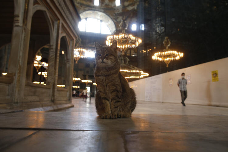 Yunanistan'dan Ayasofya ile ilgili küstah çıkış! 10