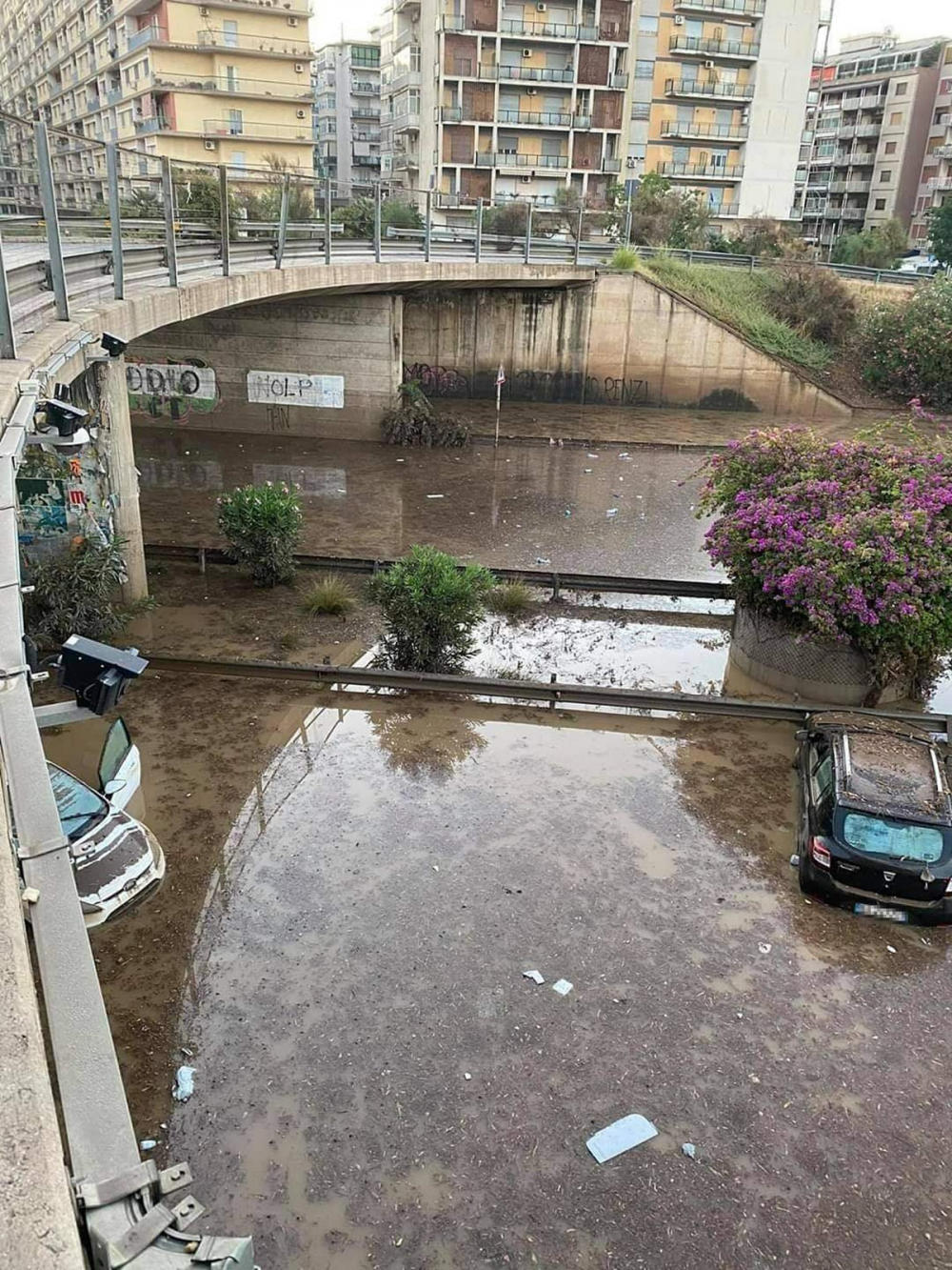 Ünlü yönetmen paylaştı! Kenti sel vurdu 2 kişi öldü 7