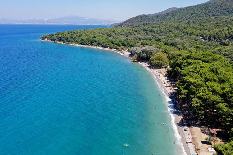 Mavi ve yeşilin en güzel tonları burada! 6