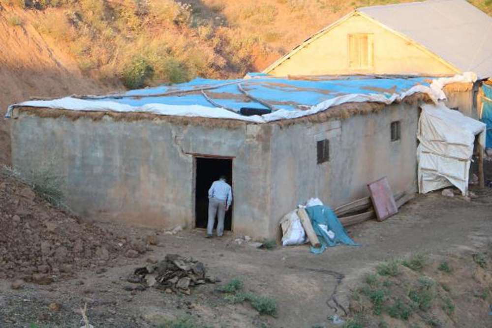 Hakkari'de onlarca hayvan ahırda havasızlıktan telef oldu 9