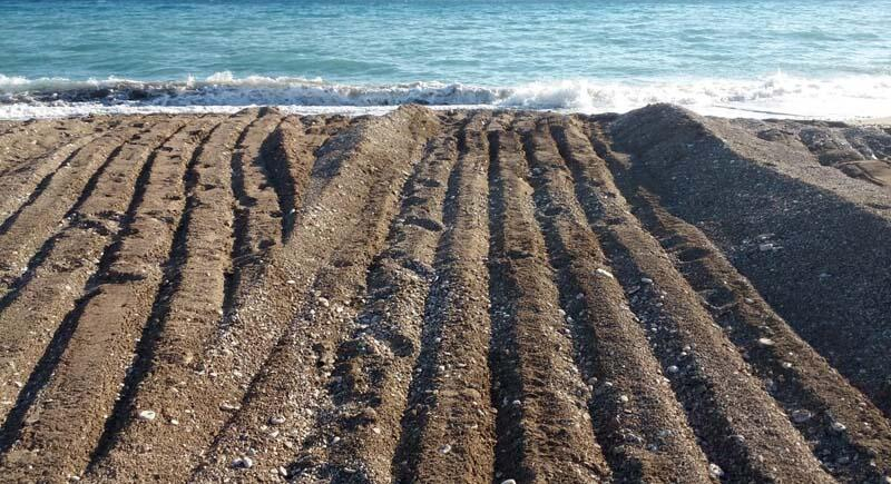 Antalya'da iş makinesi kaplumbağa yuvalarını dağıttı 1