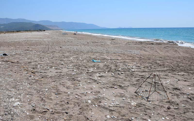 Antalya'da iş makinesi kaplumbağa yuvalarını dağıttı 10