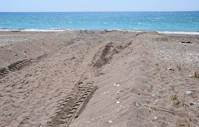 Antalya'da iş makinesi kaplumbağa yuvalarını dağıttı 11