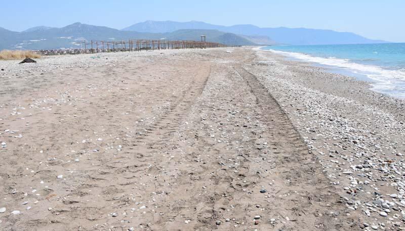 Antalya'da iş makinesi kaplumbağa yuvalarını dağıttı 12