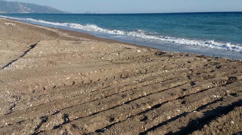 Antalya'da iş makinesi kaplumbağa yuvalarını dağıttı 3