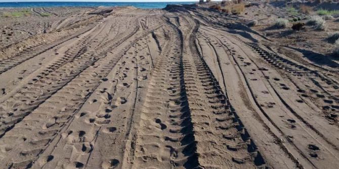 Antalya'da iş makinesi kaplumbağa yuvalarını dağıttı