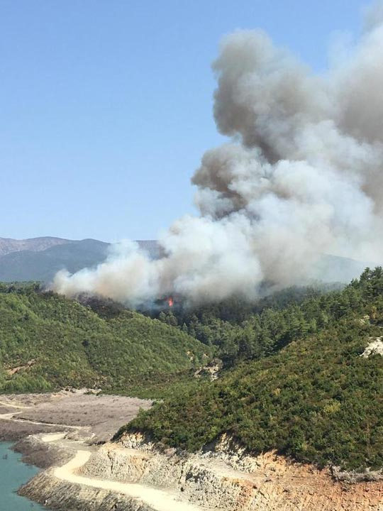 Hatay'da çıkan yangın 3 bölgeye yaklaştı! 11