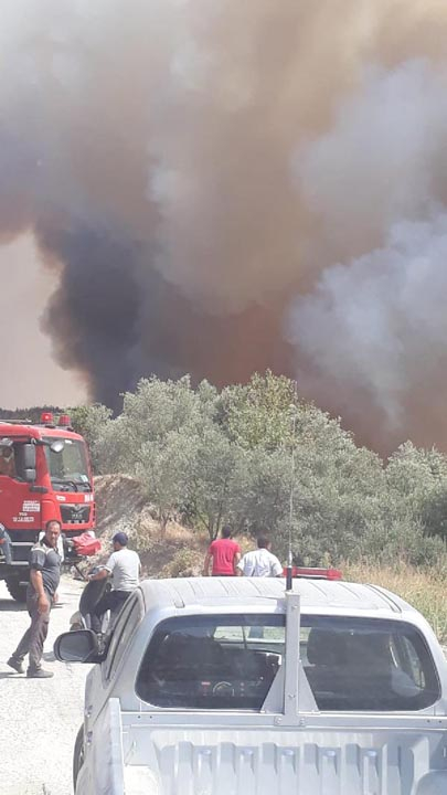 Hatay'da çıkan yangın 3 bölgeye yaklaştı! 2