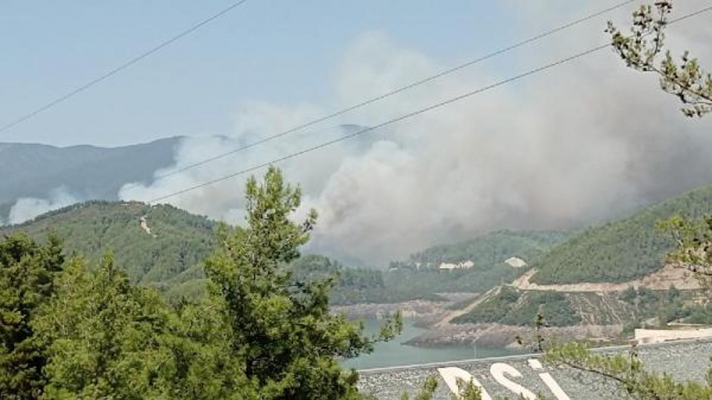 Hatay'da çıkan yangın 3 bölgeye yaklaştı! 8