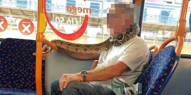 Otobüse binen yaşlı adam, maske yerine yüzüne yılanı dolayıp yolculuk yaptı