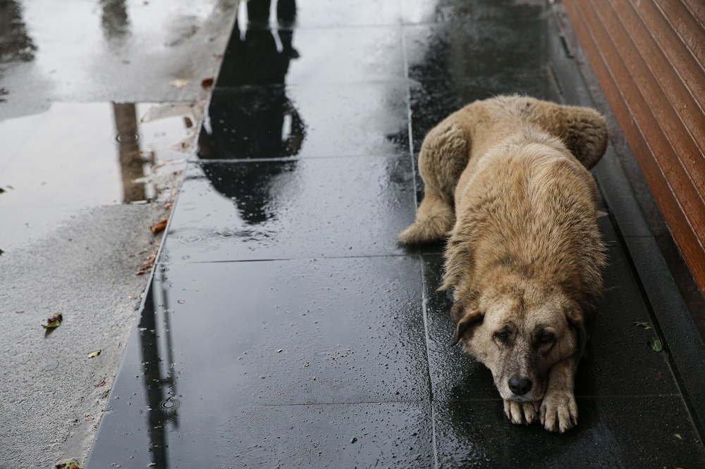 Meteoroloji İstanbul için uyarmıştı! İstanbul'da beklenen olmadı fakat... 8