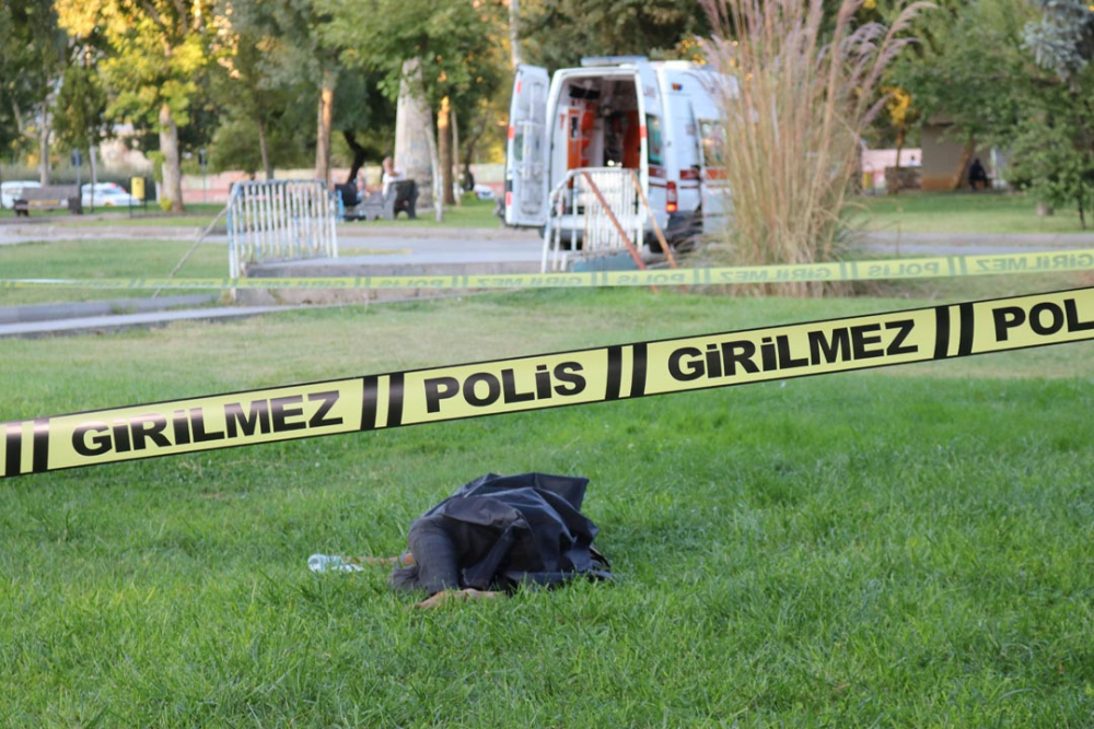 Diyarbakır'da şüpheli ölüm! Parkta erkek cesedi bulundu 2