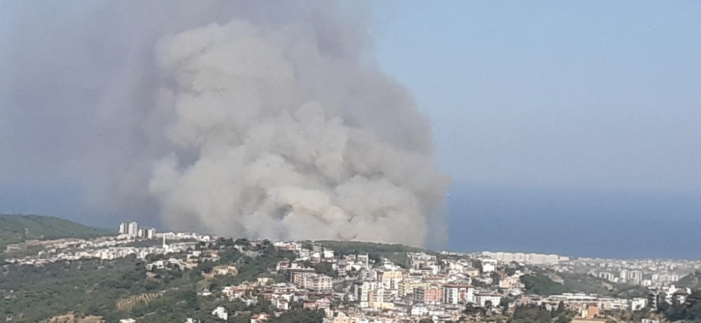 Hatay Valisi Doğan: Yangın, ormanlık alandaki trafonun patlamasıyla çıktı 1