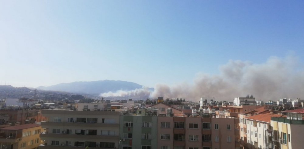 Hatay Valisi Doğan: Yangın, ormanlık alandaki trafonun patlamasıyla çıktı 10