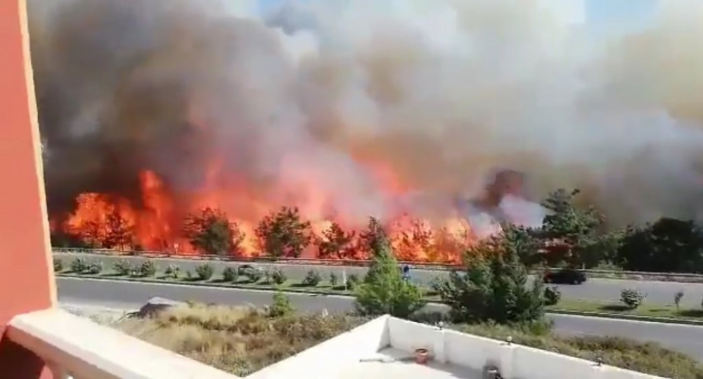 Hatay Valisi Doğan: Yangın, ormanlık alandaki trafonun patlamasıyla çıktı 13