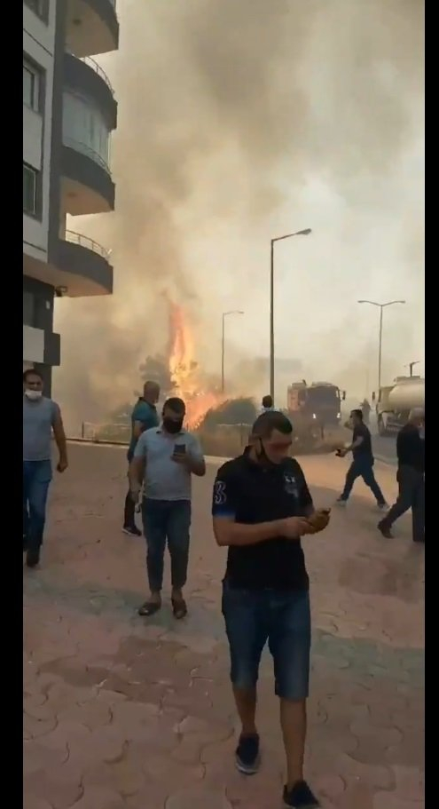 Hatay Valisi Doğan: Yangın, ormanlık alandaki trafonun patlamasıyla çıktı 14
