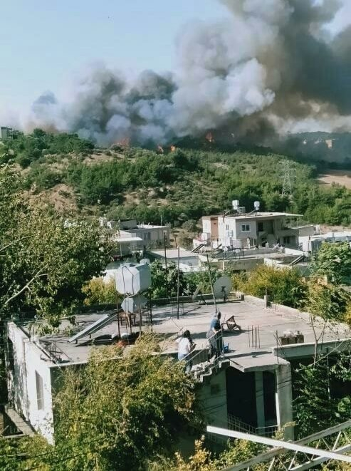 Hatay Valisi Doğan: Yangın, ormanlık alandaki trafonun patlamasıyla çıktı 3