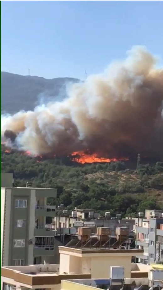 Hatay Valisi Doğan: Yangın, ormanlık alandaki trafonun patlamasıyla çıktı 9
