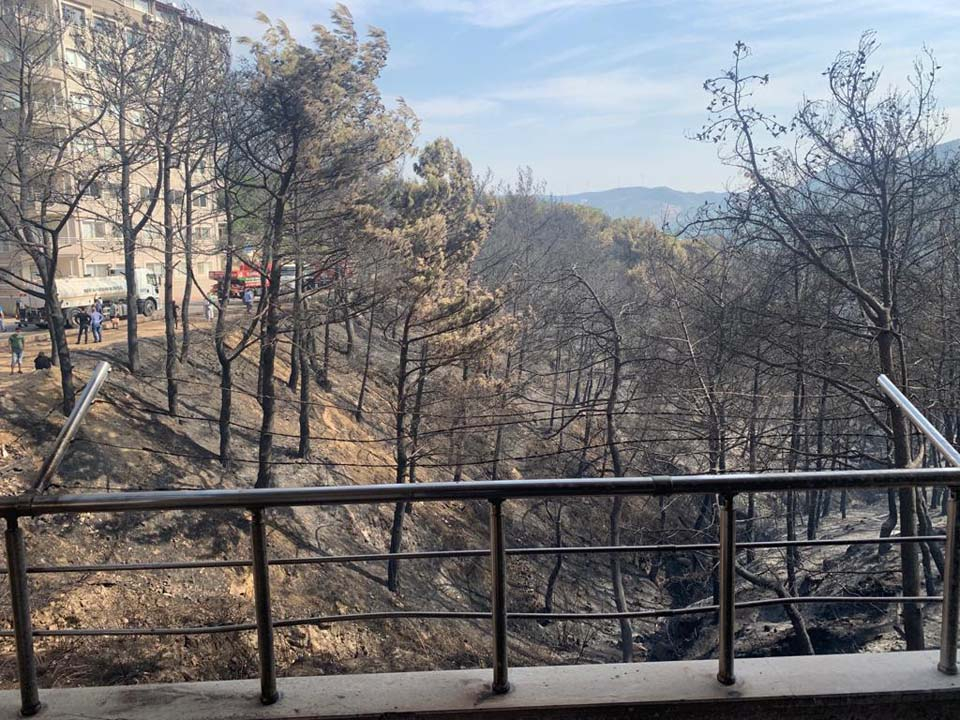 Hatay'da ciğerimiz yanıyor! Çok acı görüntüler... 1