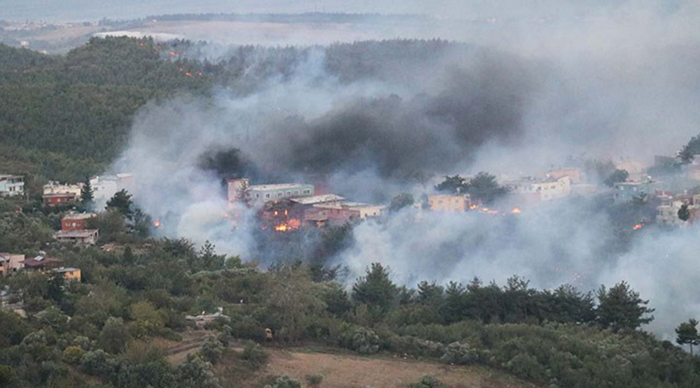 Hatay'da ciğerimiz yanıyor! Çok acı görüntüler... 26
