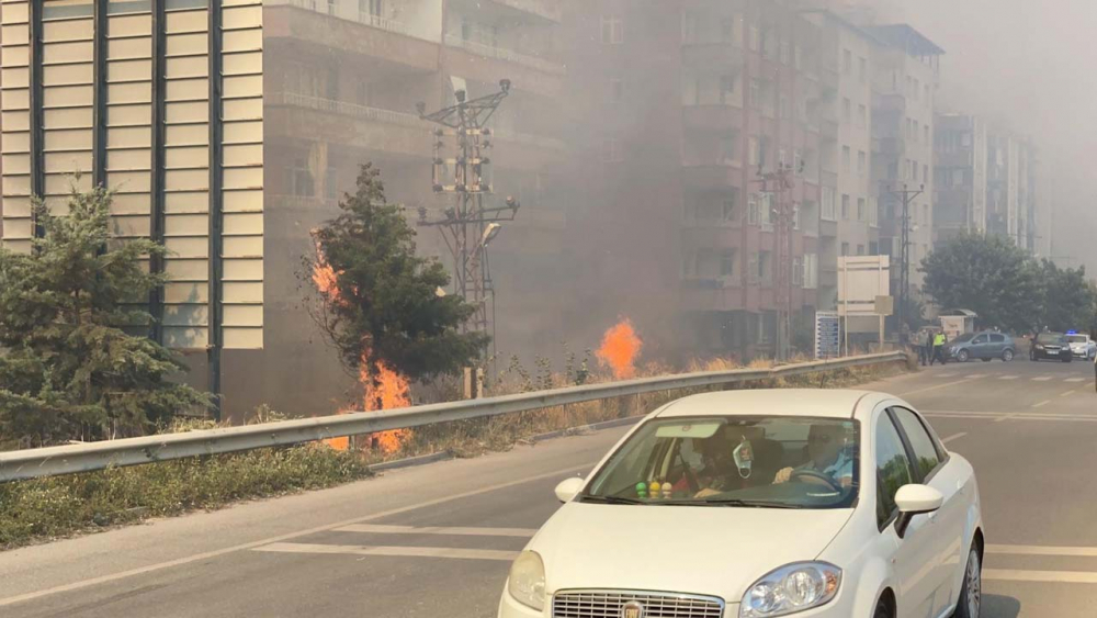 Hatay'da ciğerimiz yanıyor! Çok acı görüntüler... 31