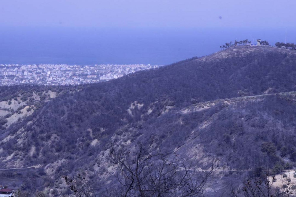 Hatay'da ciğerimiz yanıyor! Çok acı görüntüler... 32