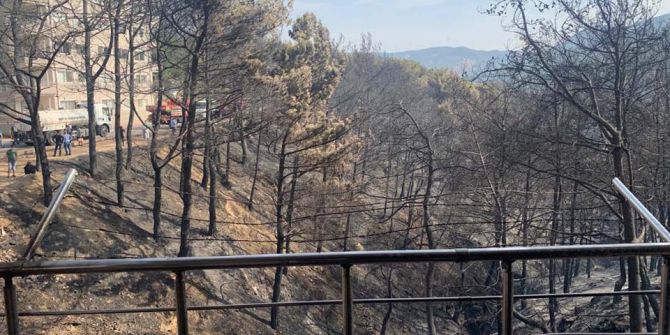 Hatay'da ciğerimiz yanıyor! Çok acı görüntüler...