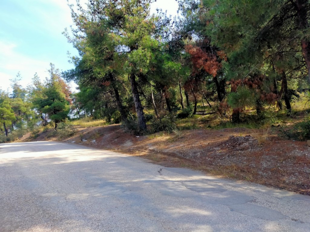 Oğullarının başına levyeyle vurduktan sonra bıçaklayıp iple boğan aileden flaş iddialar! 16