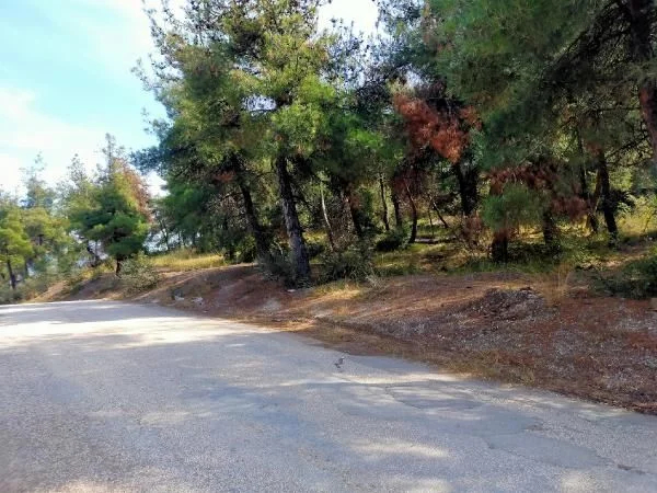 Oğullarının başına levyeyle vurduktan sonra bıçaklayıp iple boğan aileden flaş iddialar! 5