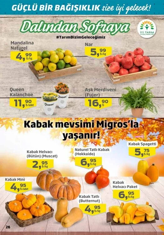 Migros Aktüel indirimleri | Migros 18-28 Ekim aktüel ürünler kataloğu 7