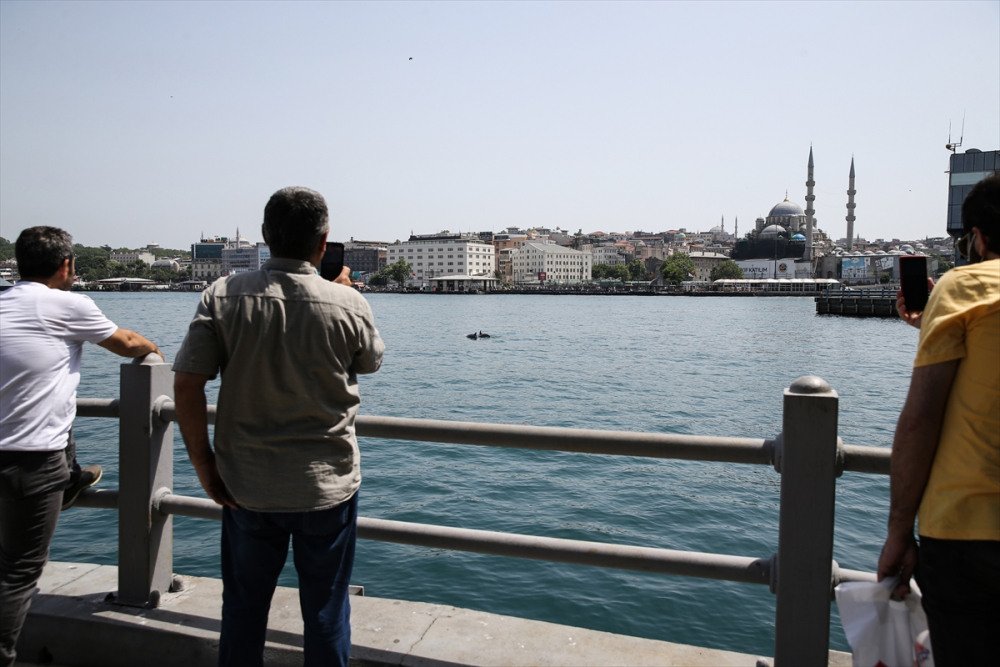 Korkutan tablo! İstanbul'da testlerin pozitif çıkma oranı 35'i geçti, hasta sayısı artıyor 30