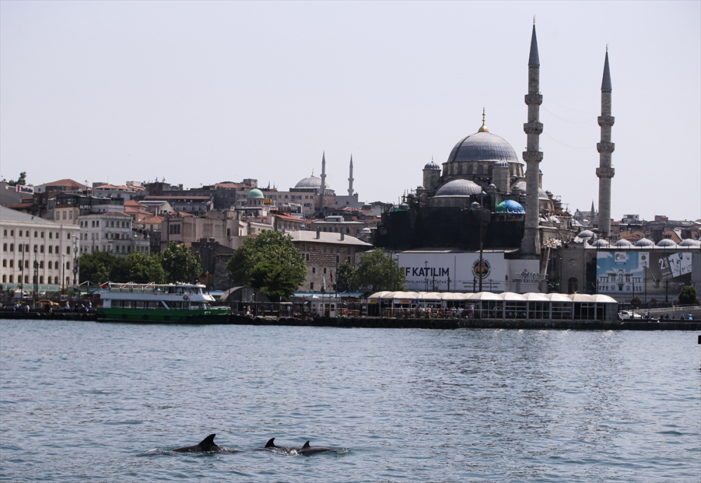 Korkutan tablo! İstanbul'da testlerin pozitif çıkma oranı 35'i geçti, hasta sayısı artıyor 33