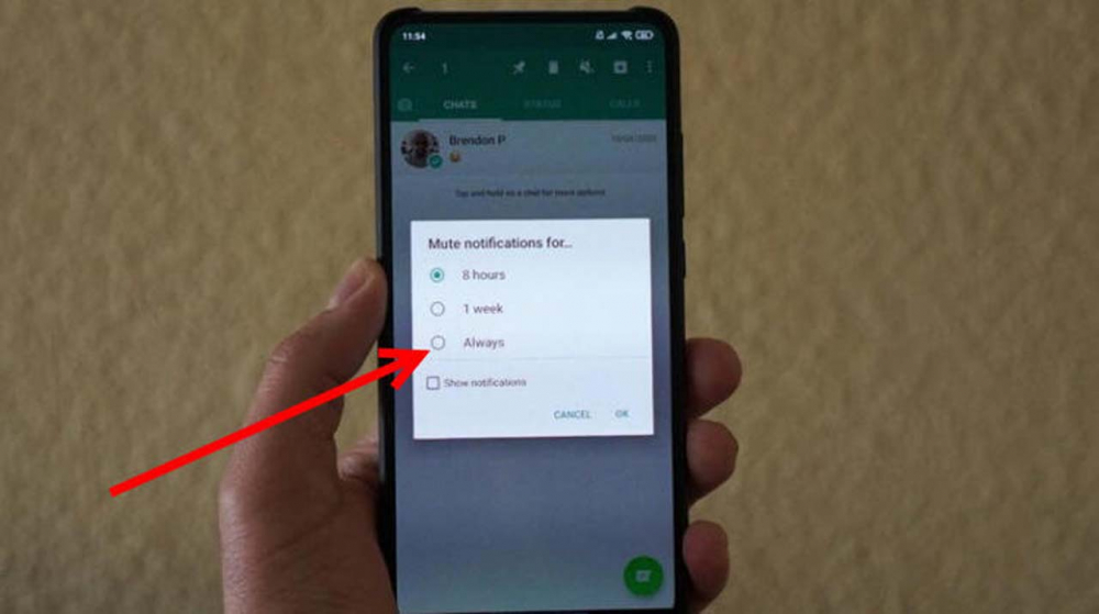 WhatsApp kullanıcılarına yeni özellik geldi 4