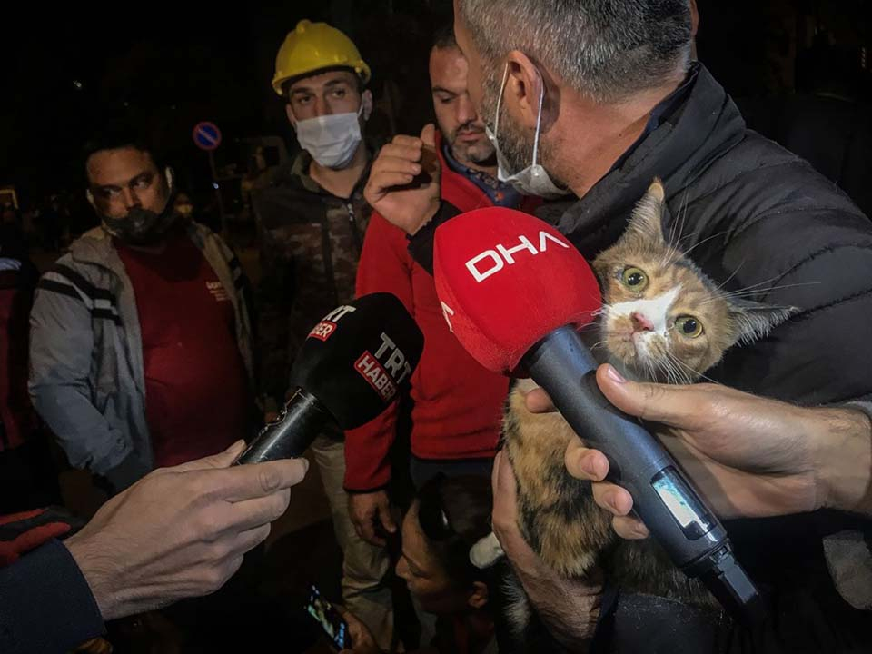 İzmir enkazından kediyi  K-9 köpeği kurtardı 5