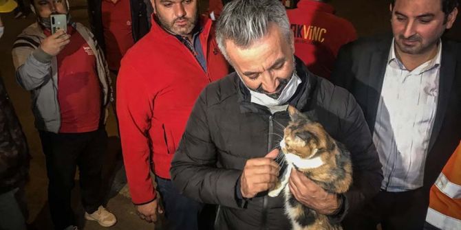 İzmir enkazından kediyi  K-9 köpeği kurtardı