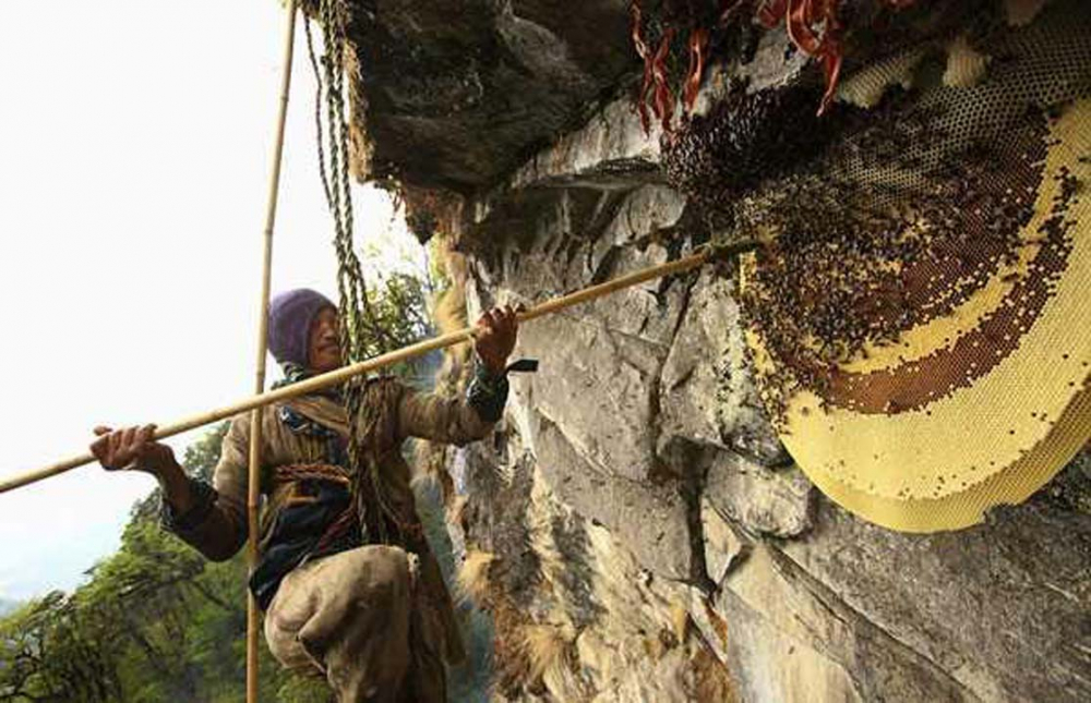 Üç farklı ülke, üç farklı yaşam! İşte ölüme savaş açan insanlar 16