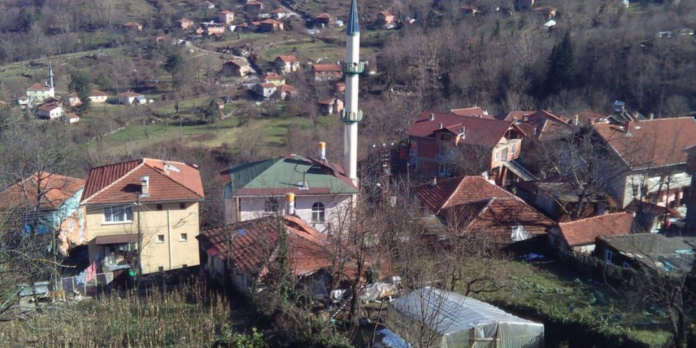 Bartın'da koronavirüsle tanışmayan Aliobası köyü: Tedbirlere uyduk, hiç vaka olmadı 5