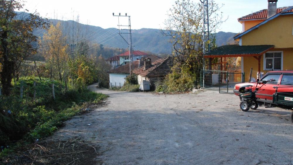 Bartın'da koronavirüsle tanışmayan Aliobası köyü: Tedbirlere uyduk, hiç vaka olmadı 9